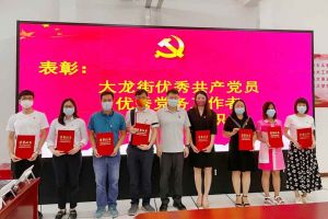 华体会官方网页版集团党支部荣获先进党组织称号、陈文舒党支部书记荣获优秀党