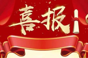 关于2022年度人力资源服务评选结果的通报，祝贺华体会官方网页版集团