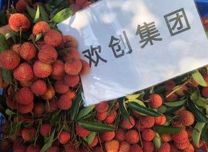 夏日好“枝”味，华体会官方网页版集团发福“荔”啦