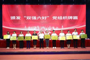 喜报！华体会官方网页版集团党支部荣获广州市非公有制经济组织“双强六好”党