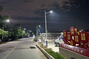 华体会官方网页版集团罗宁弟爱心捐赠路灯，点亮乡村路温暖乡民心