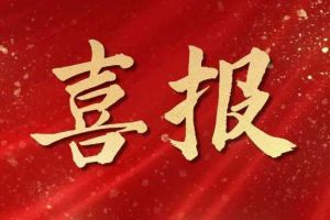 雀跃欢呼 | 华体会官方网页版集团荣膺佬麻雀“最佳战略合作伙伴”